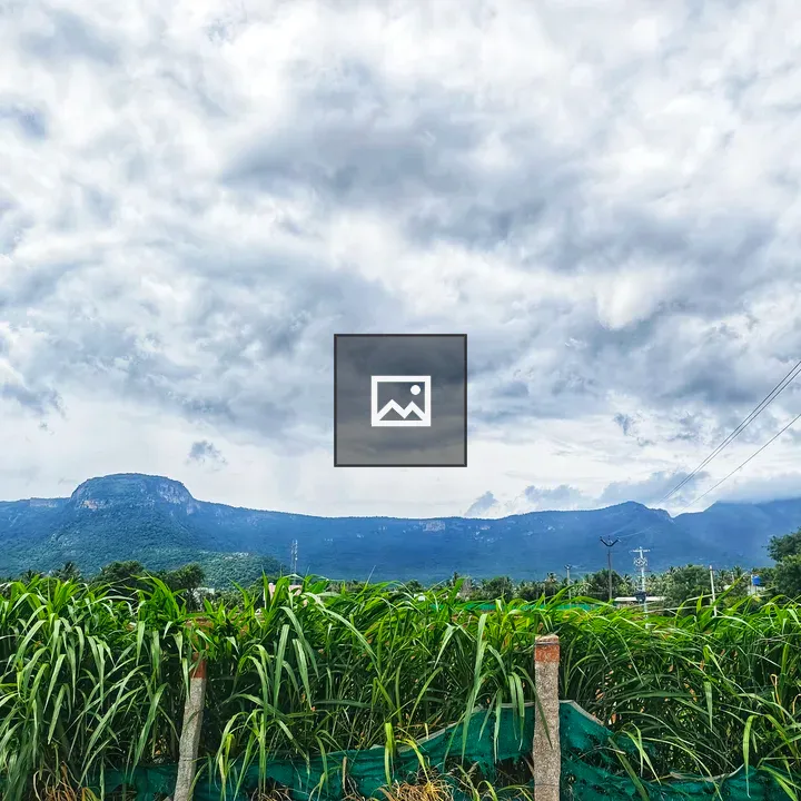 Lush Landscape with Green Grass and Mountains