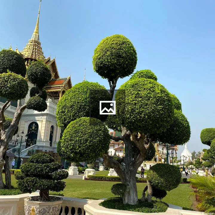 Tree by Grand Palace Bangkok