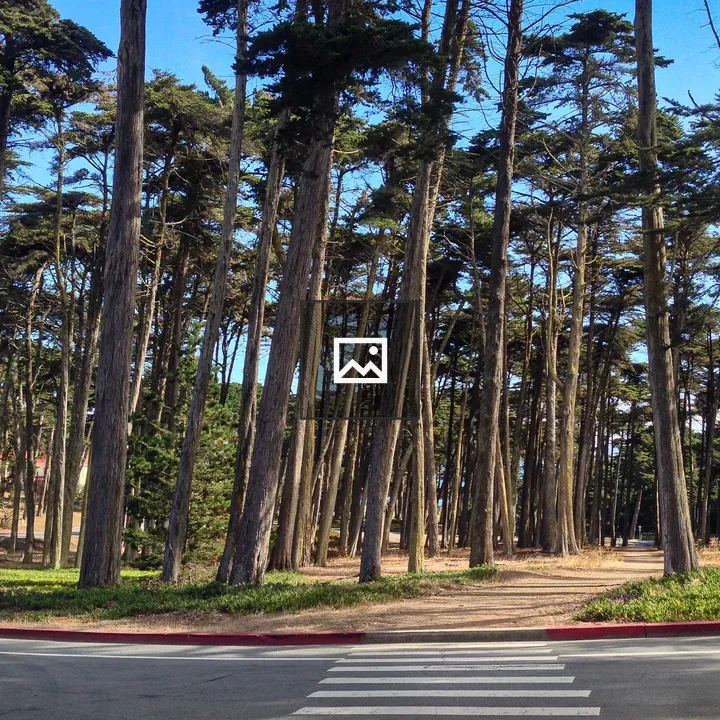 San Francisco Presidio Trail
