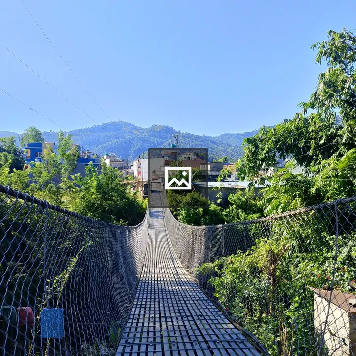 Suspension Bridge in Green Landscape