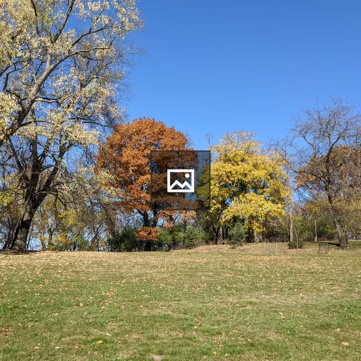 Trees on hill in Frick Park