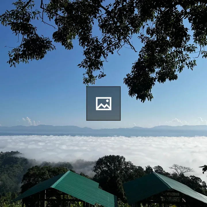 Bed of clouds