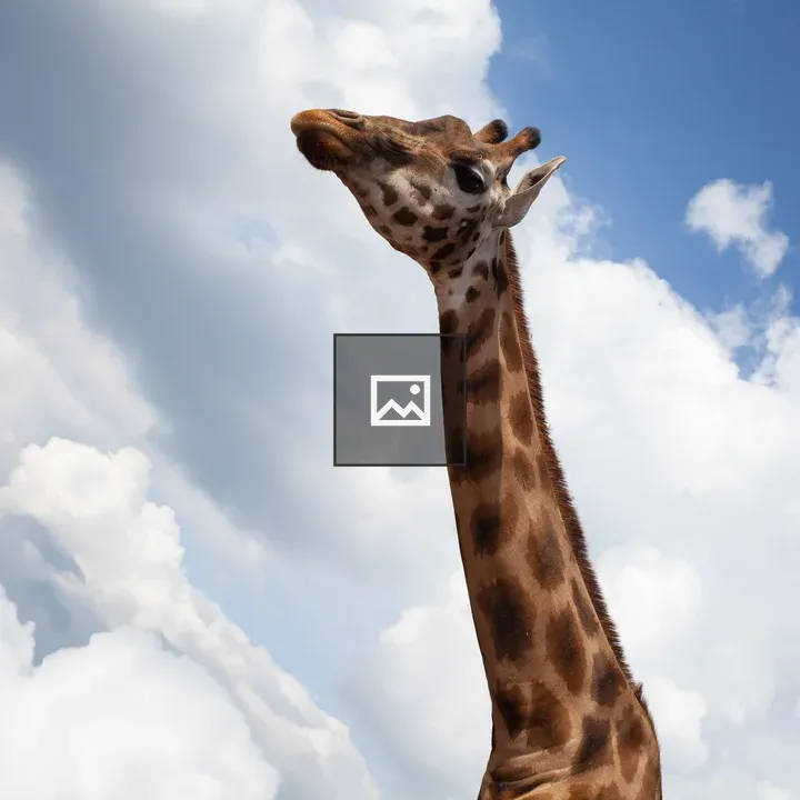 Giraffe Against Cloudy Sky