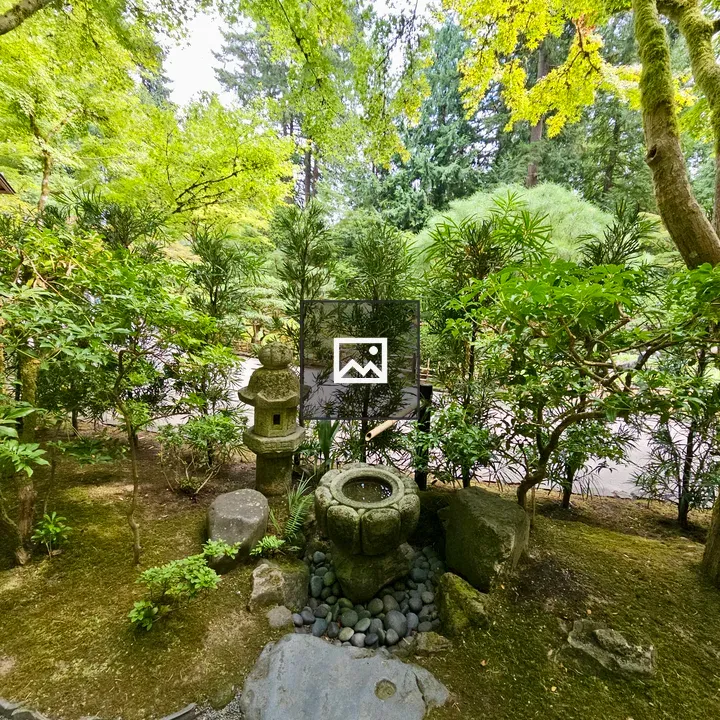 Traditional Japanese stone basin and lantern