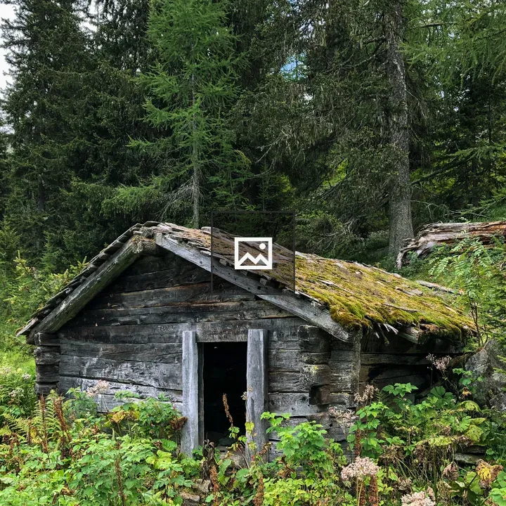 Abandoned hut in the woods