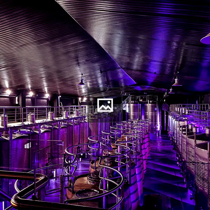 Wine fermentation room