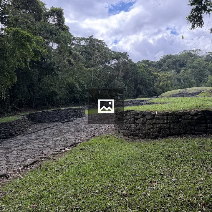 Ancient Stone Structure in Forest