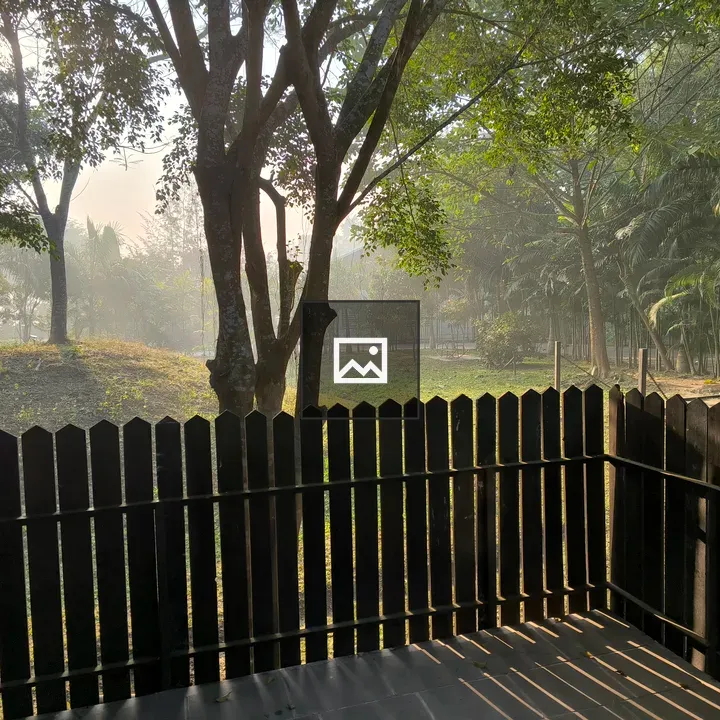Sunshine Through Trees by Fence