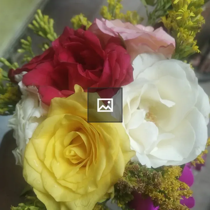 Three colors flowers