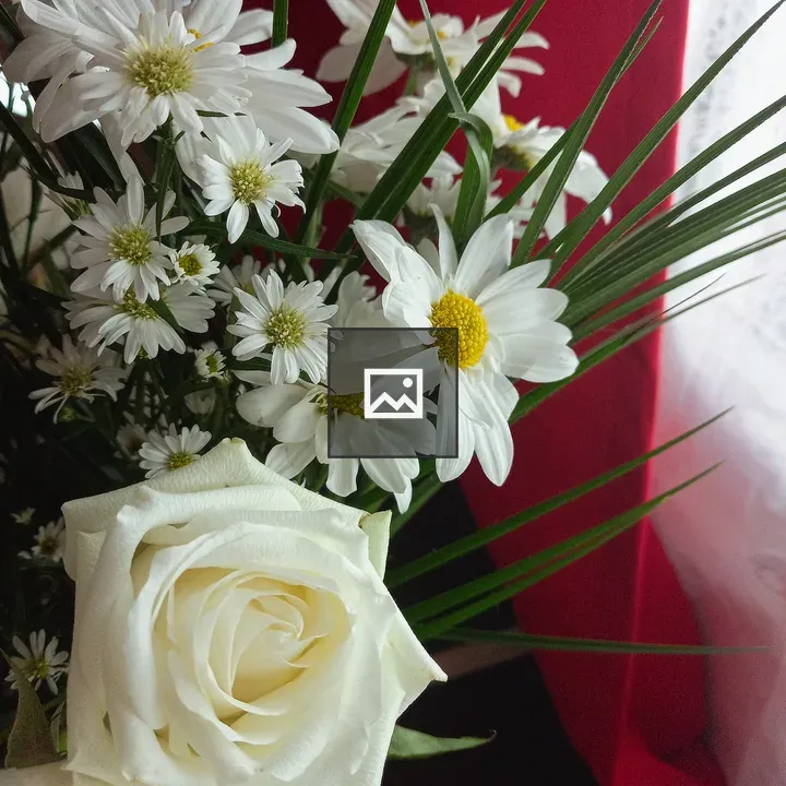 Rosa y flores blancas