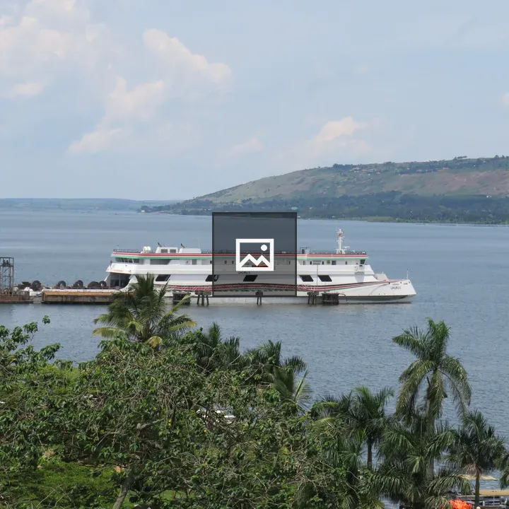 Public ferry docked by water and palm trees