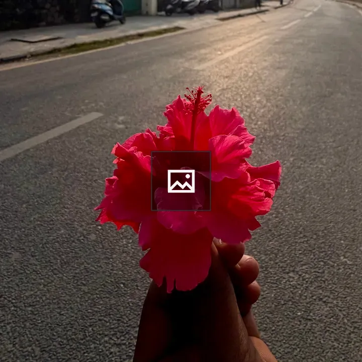 Person with pink flower