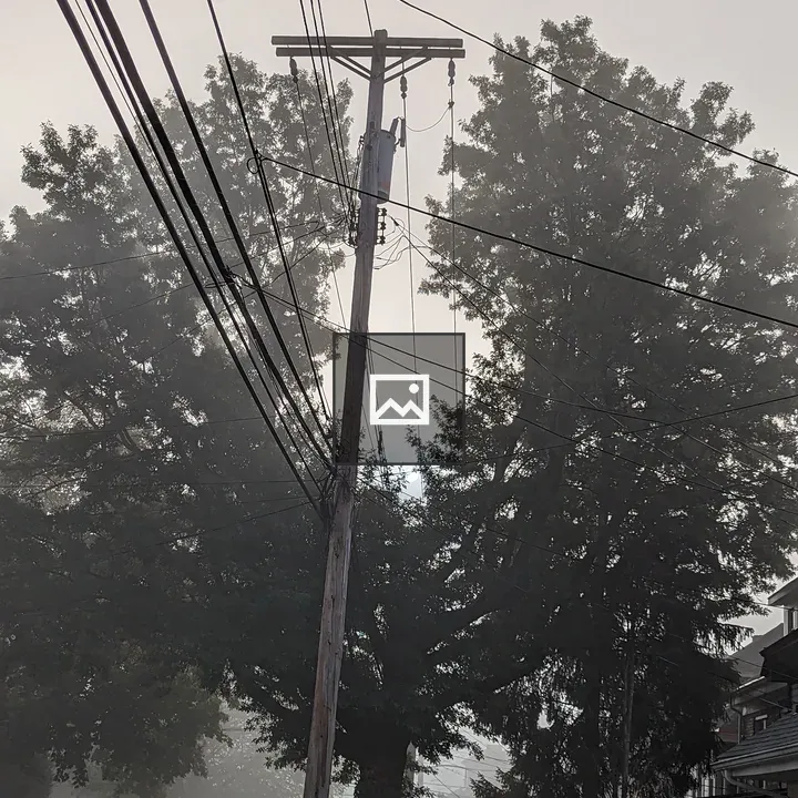 Tree Arching Around a Pole