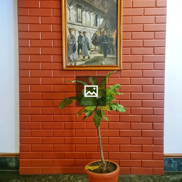 Potted plant and suspended artwork