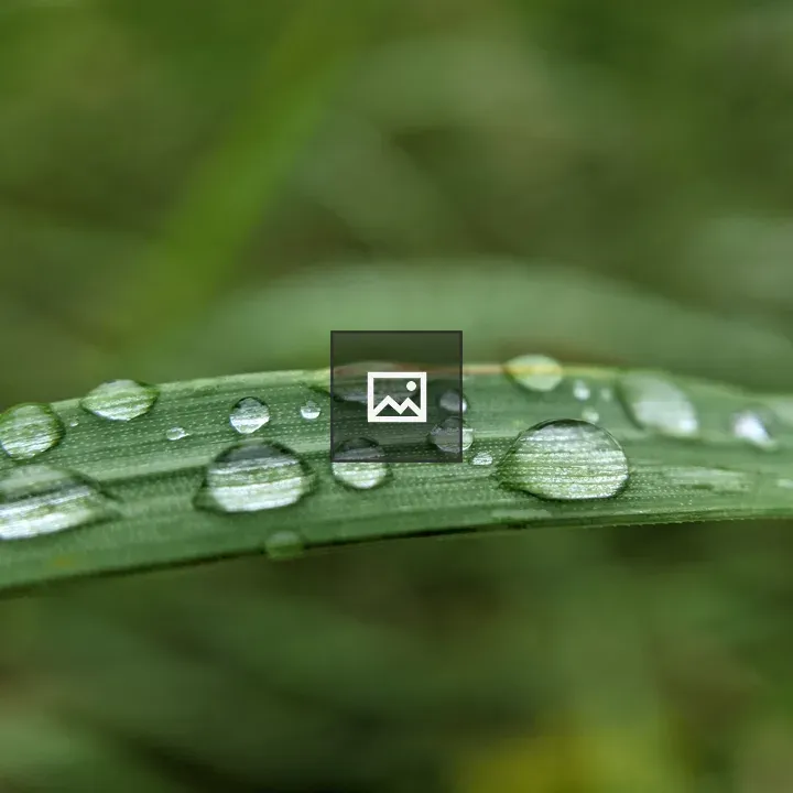 Water droplets on blade of grass