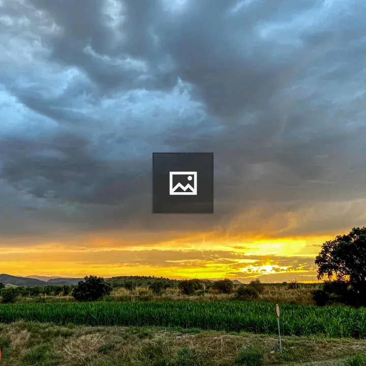 Scenic sunset landscape with tree