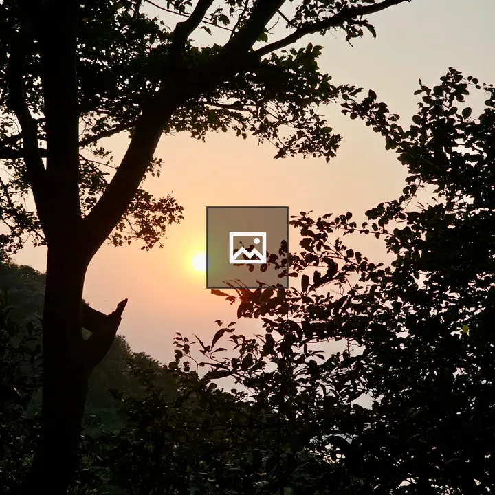 Sunset Through Mumbai Trees