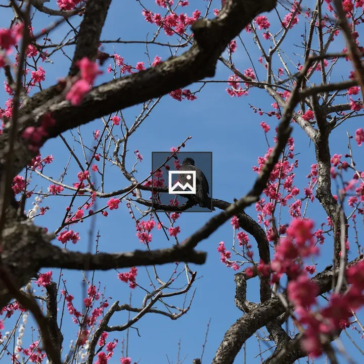 Bird on a branch in a flowering tree