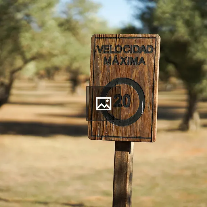 Old wooden speed limit sign