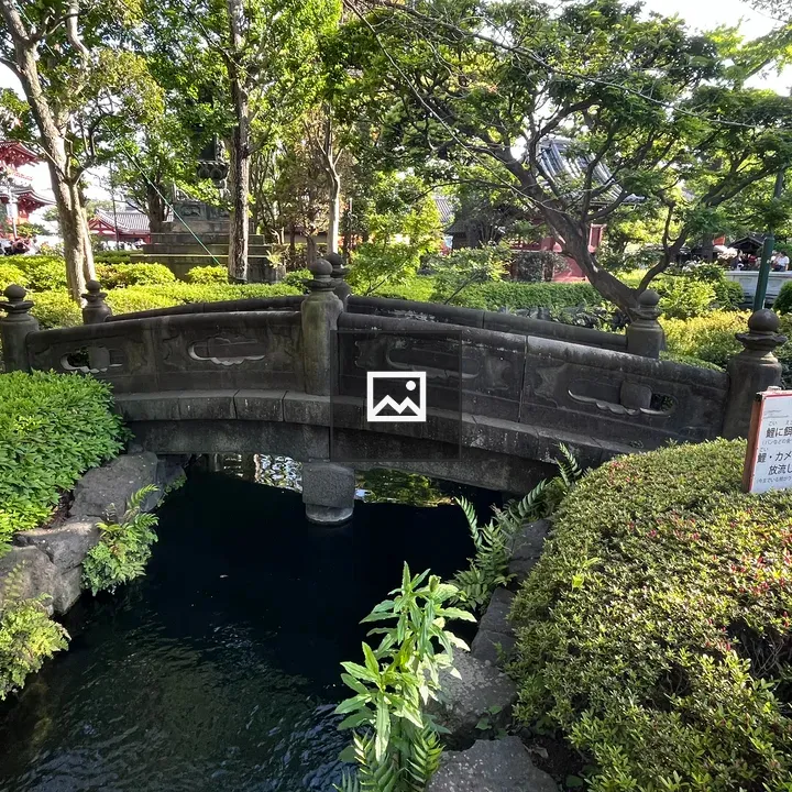 Stone bridge over garden stream
