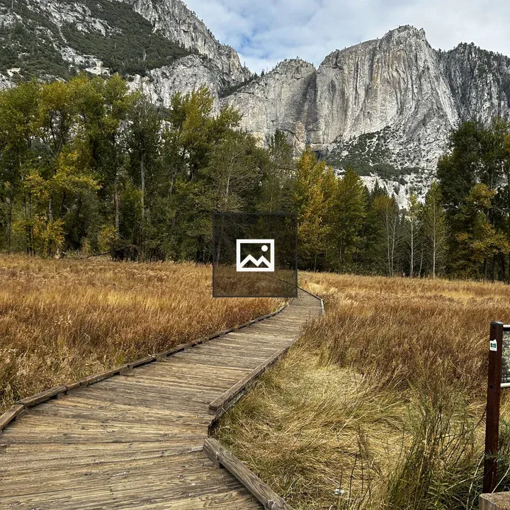 Wooden Path in Yosemite
