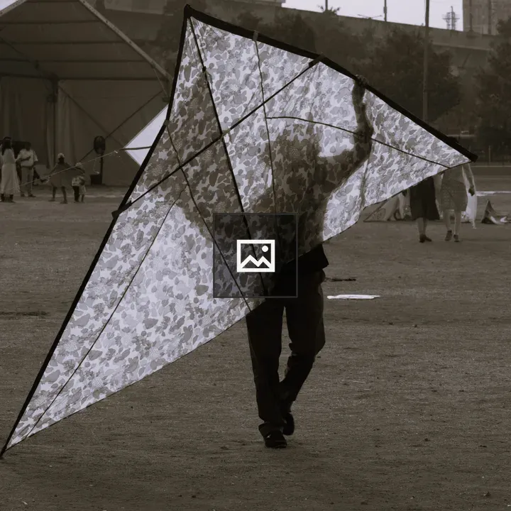 Man with kite at festival