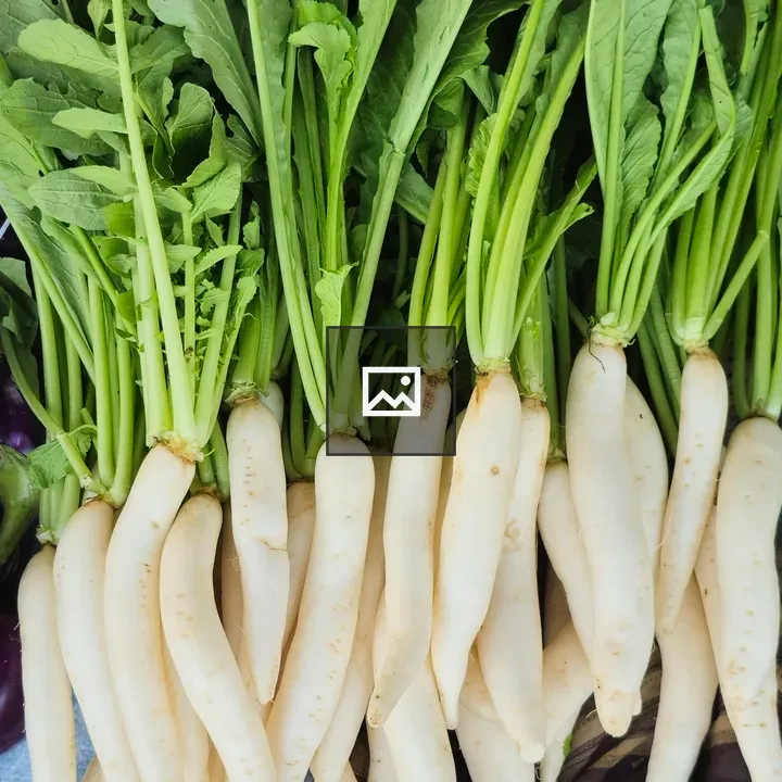 Radishes for sale