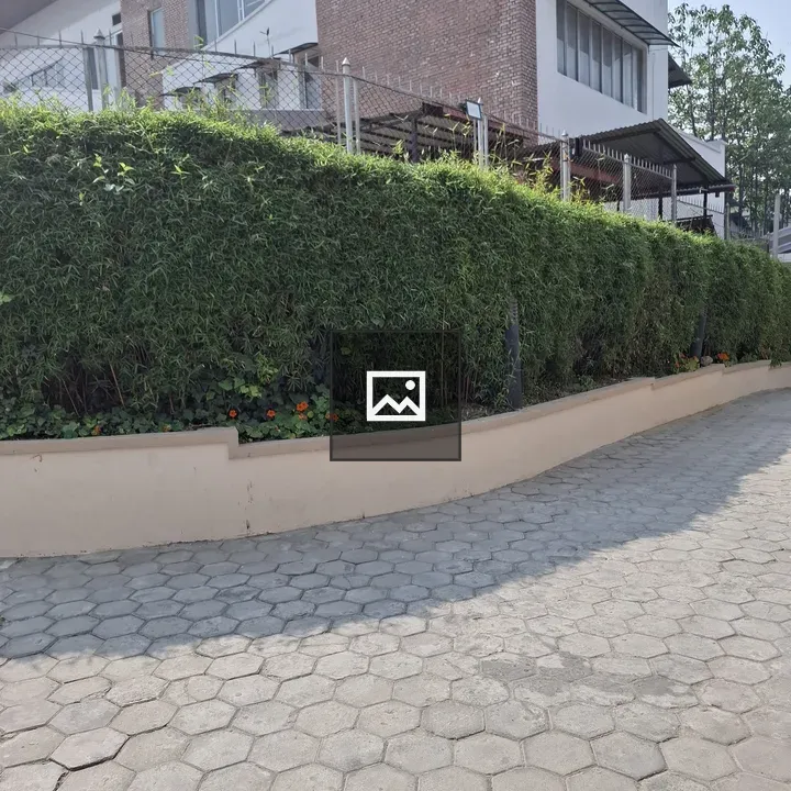 Paved sidewalk beside hedge