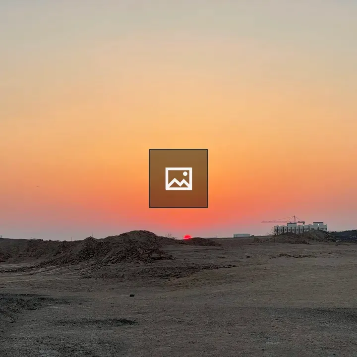 Desert Sunset with Cranes
