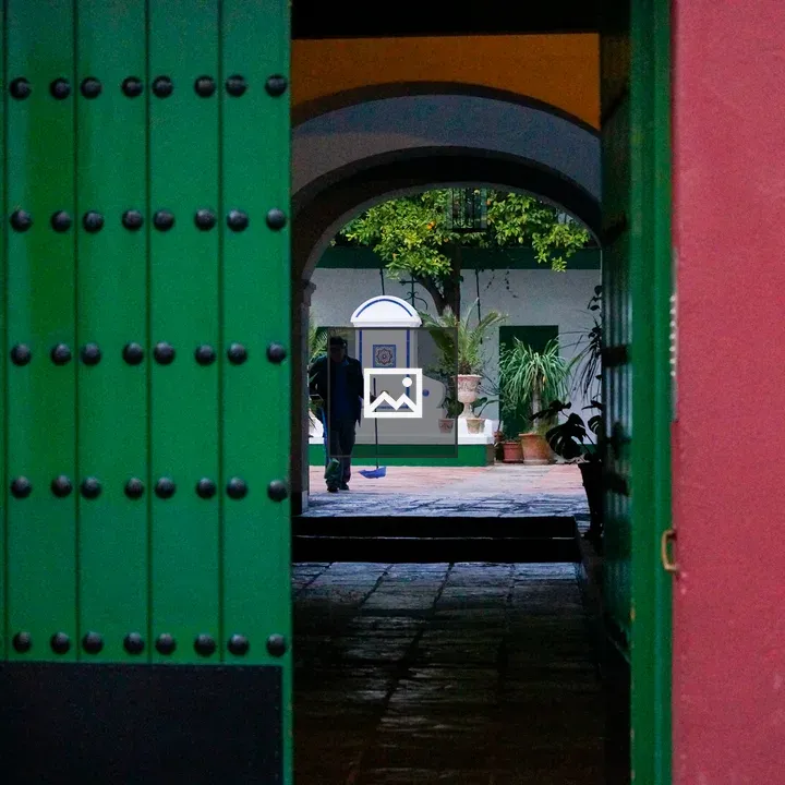 Green door to Andalusian patio