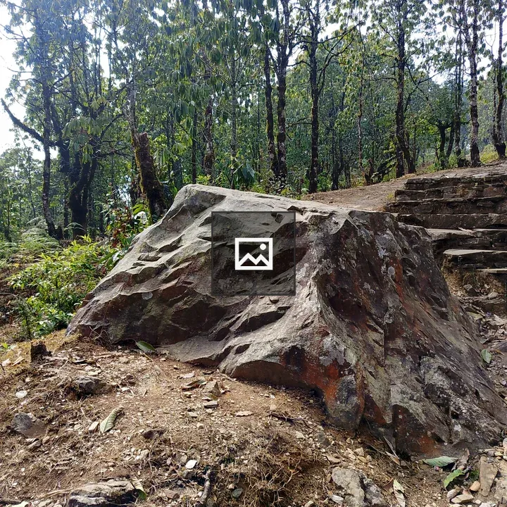 Rock on a forest path