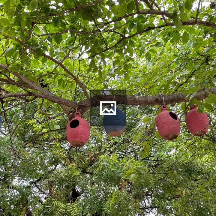 Bird's hanging nest