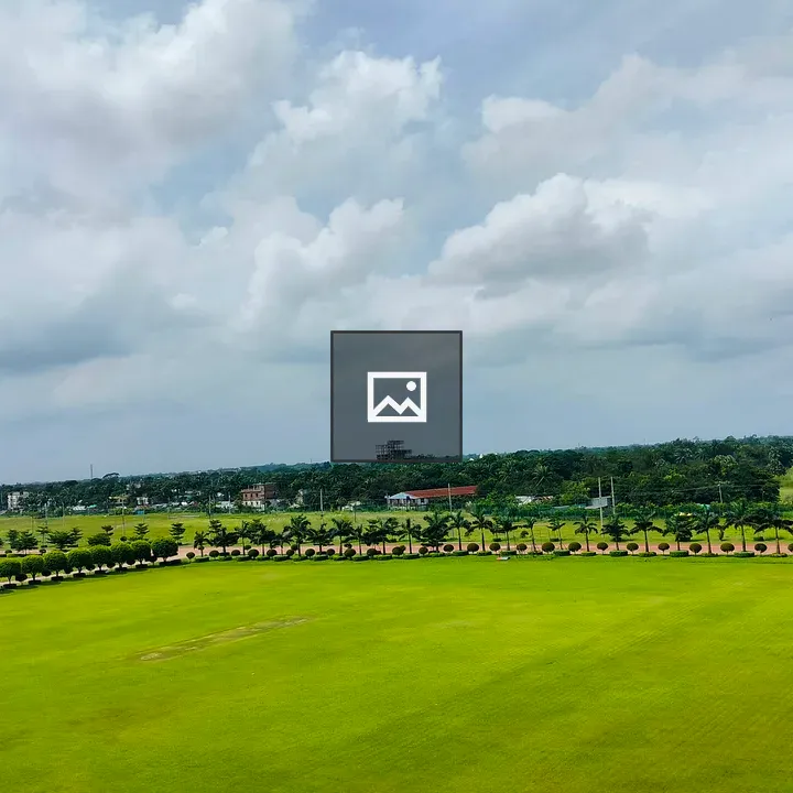 Panoramic Green Field with Hedges and Trees