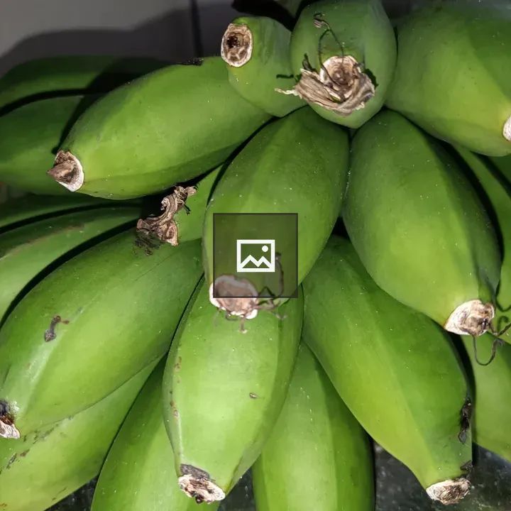 Close-up of unripe green bananas