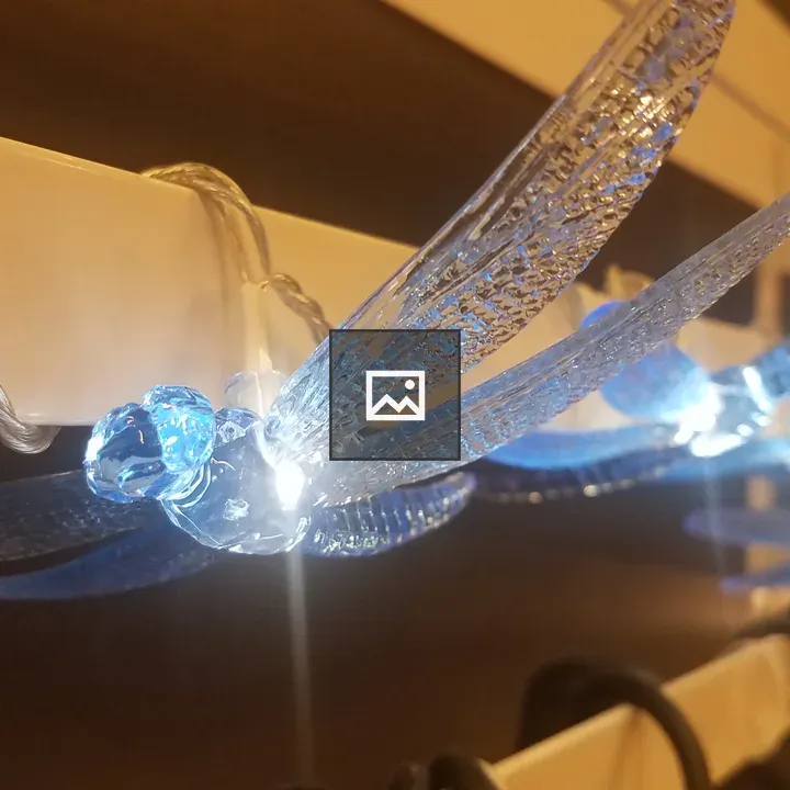 Dragonfly lights