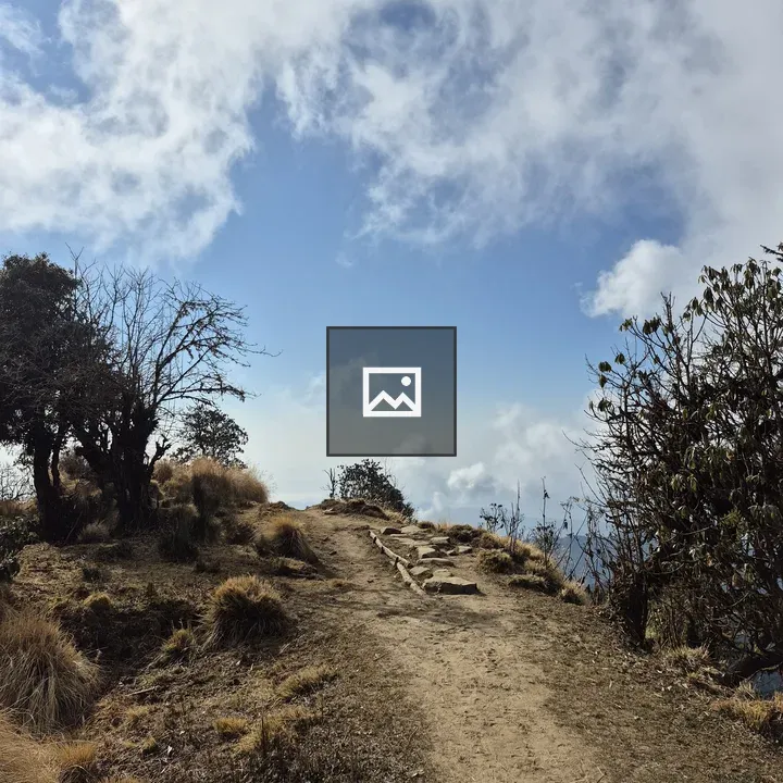 Narrow Dirt Path Through Grasslands