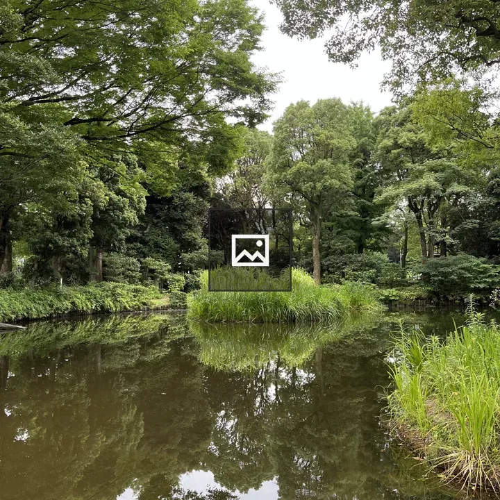 Serene pond with lush greenery