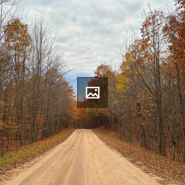 Dirt Road Through Autumn Forest