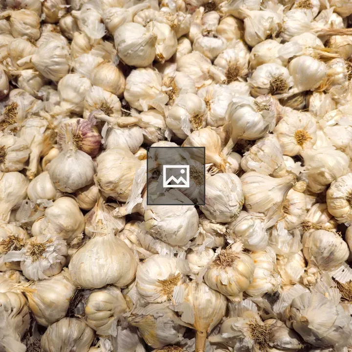Garlic Bulbs in Hypermarket Display