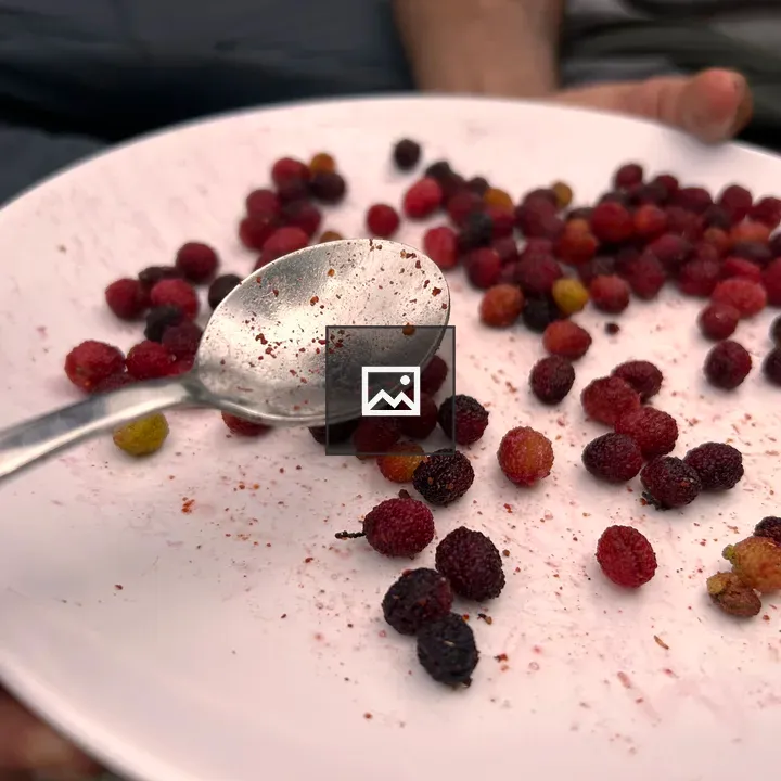 Hard Kafal Fruit Dish