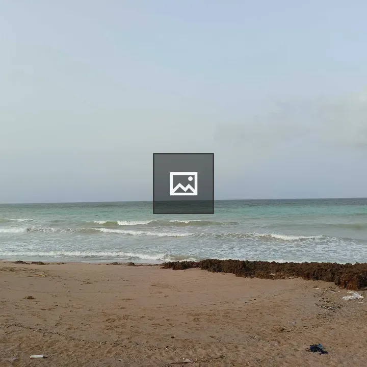Sea Beach with Clouds and Sky