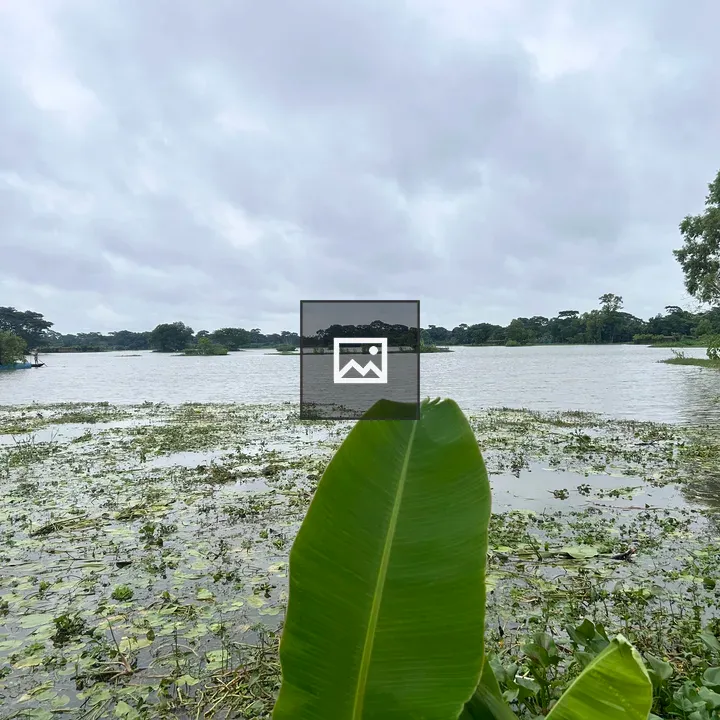 Serene lake with green foliage