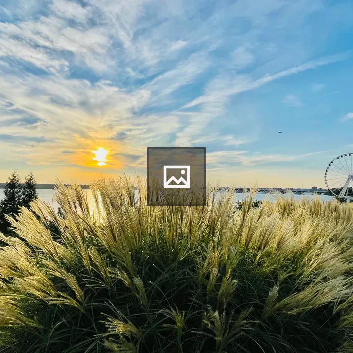 Sunset at National Harbor with Wheel