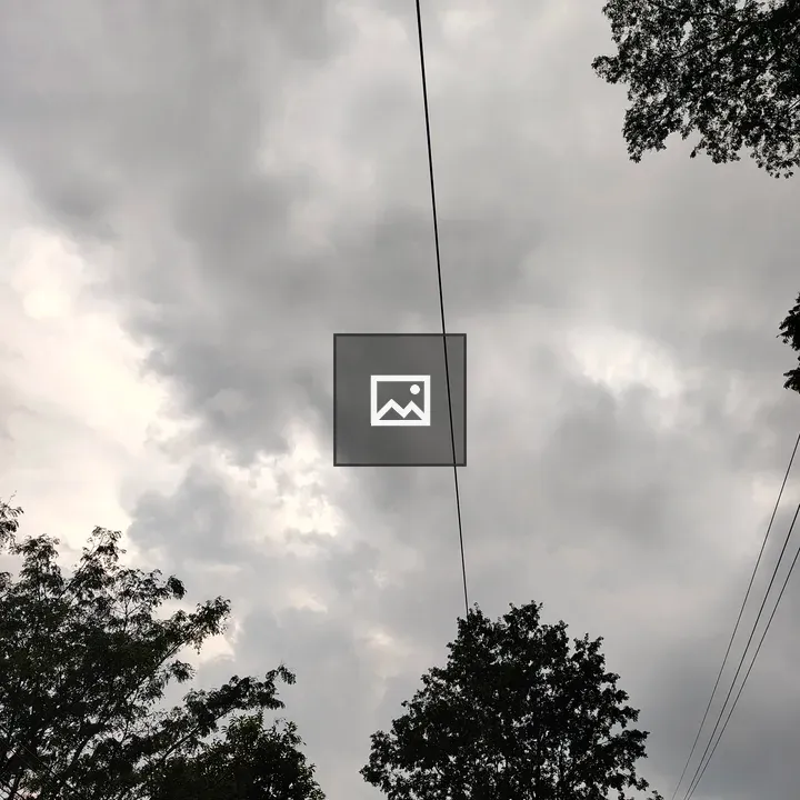 Cloudy sky with silhouetted trees