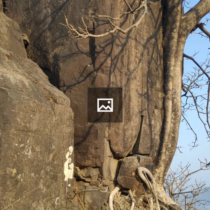 Trees on Stones