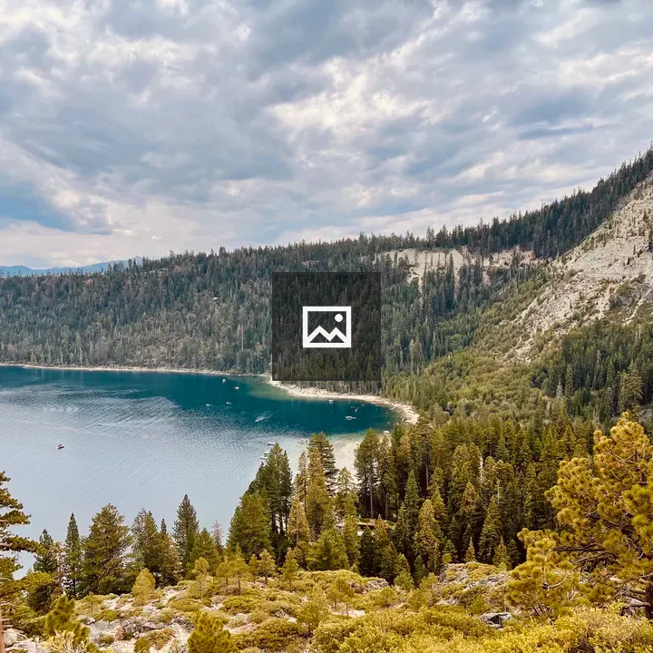 Curved mountain bay with pine forest