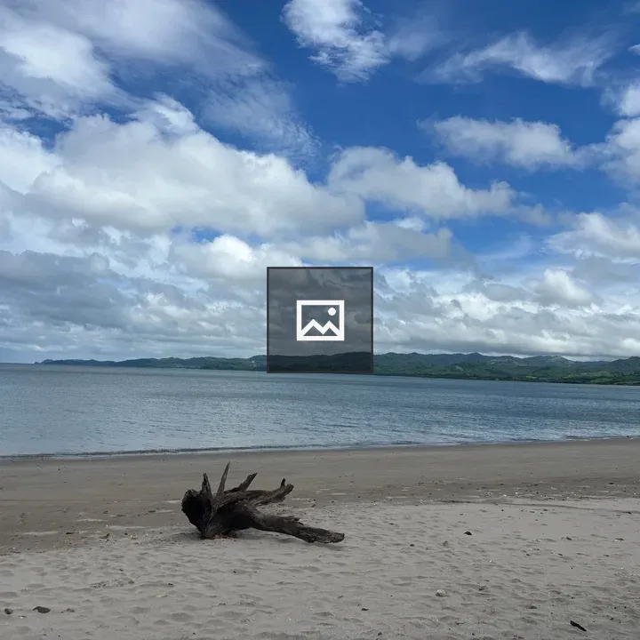Tropical Beach with Old Tree Root