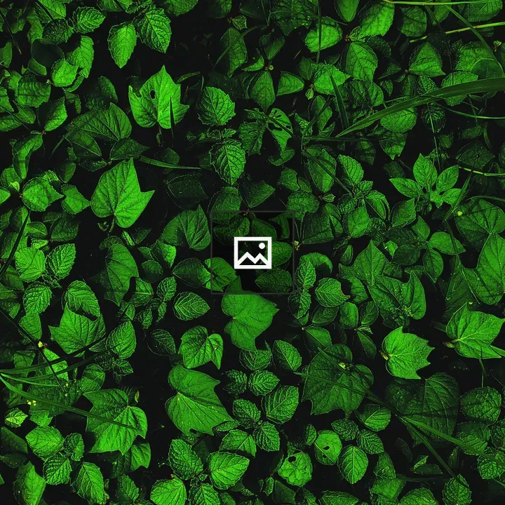 Green leaves with prominent midribs