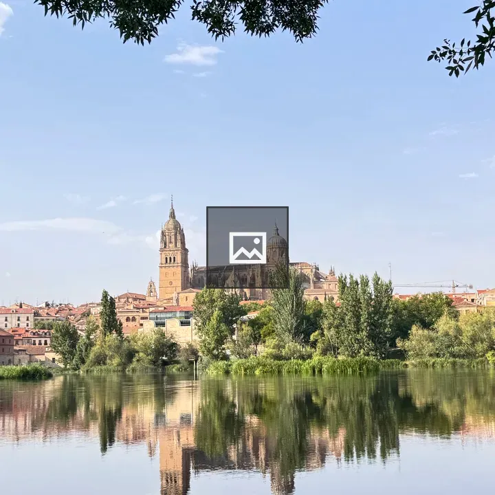 Salamanca Cathedral Reflection