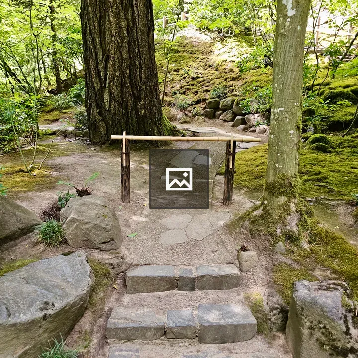 Stone Steps to Bamboo Gate
